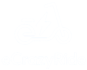 ecrazyride footer white logo